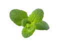 Apple Mint Garnish